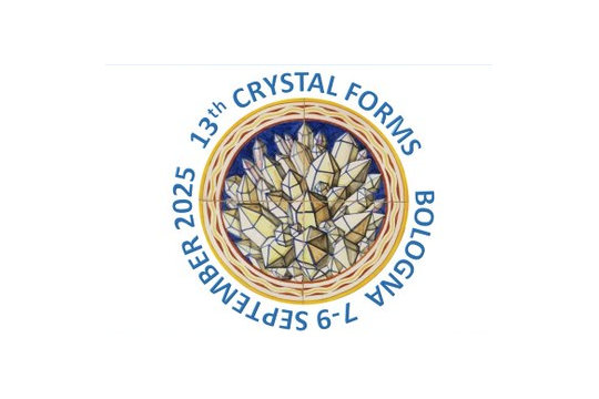 13th Bologna’s convention on crystal forms - CF@Bo 13th Bologna’s convention on crystal forms - CF@Bo
